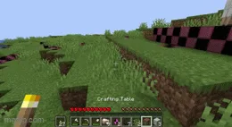 Саженец из мода null.missing.name.error.mod
