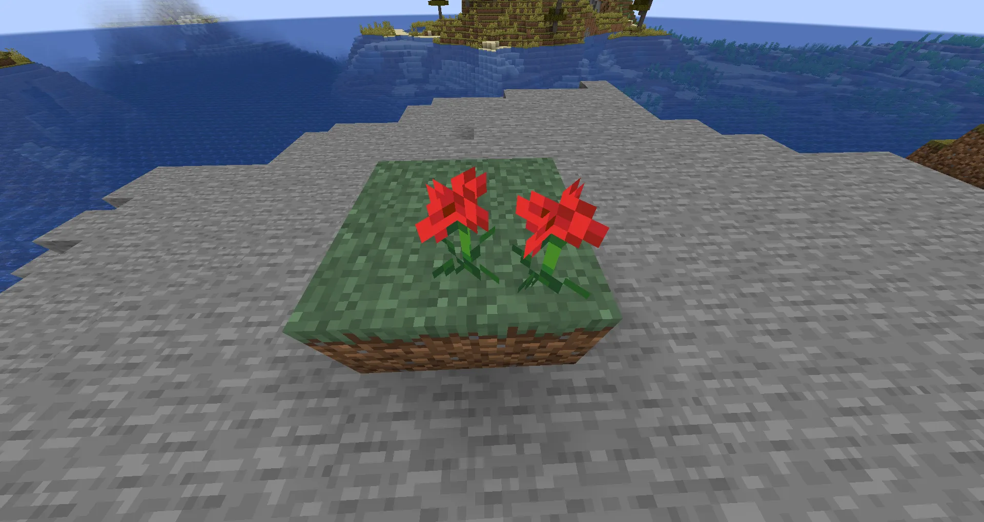 Два цветка, установленных на один блок