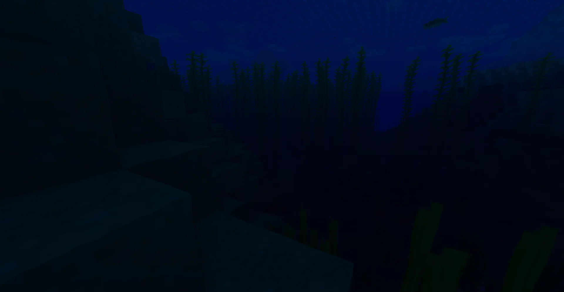 Чайные шейдеры: подводный вид