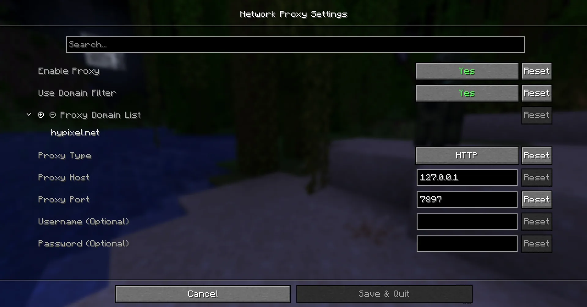 Меню конфигурации мода Network Proxy