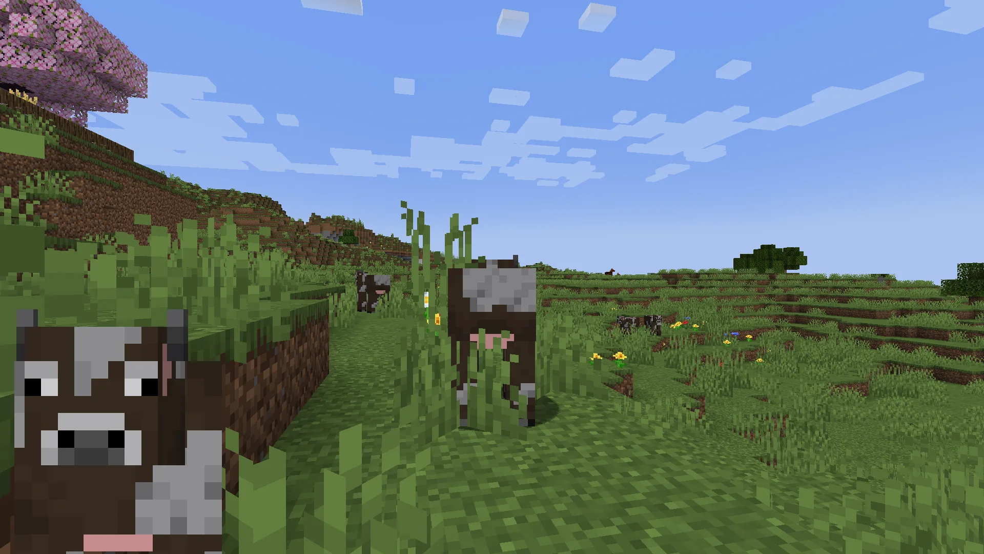 Отображение бумажной куклы в режиме наблюдателя в моде ExtraPlayerRenderer