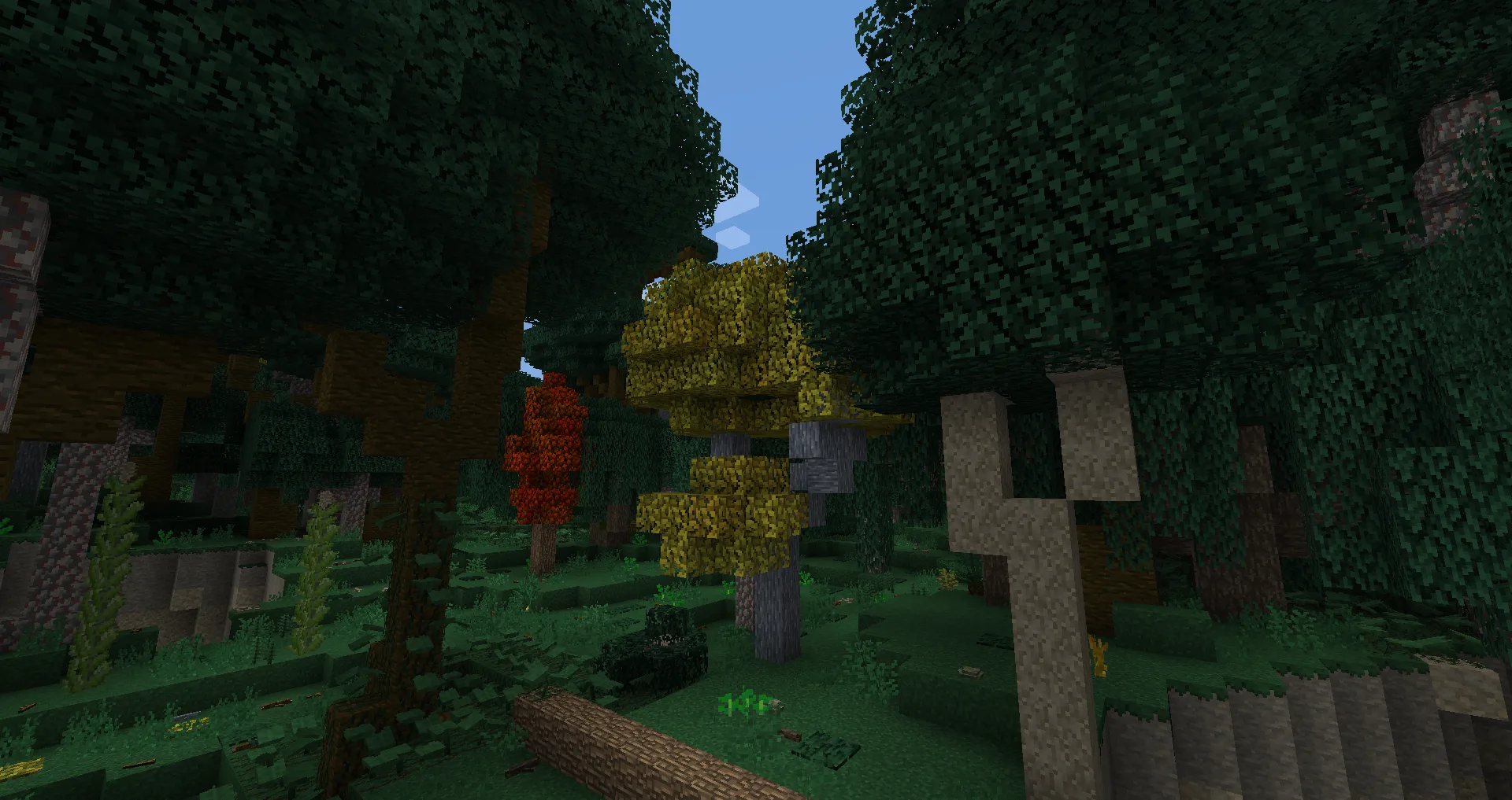 Цветущие ипе и делоникс в моде ArborFirmaCraft