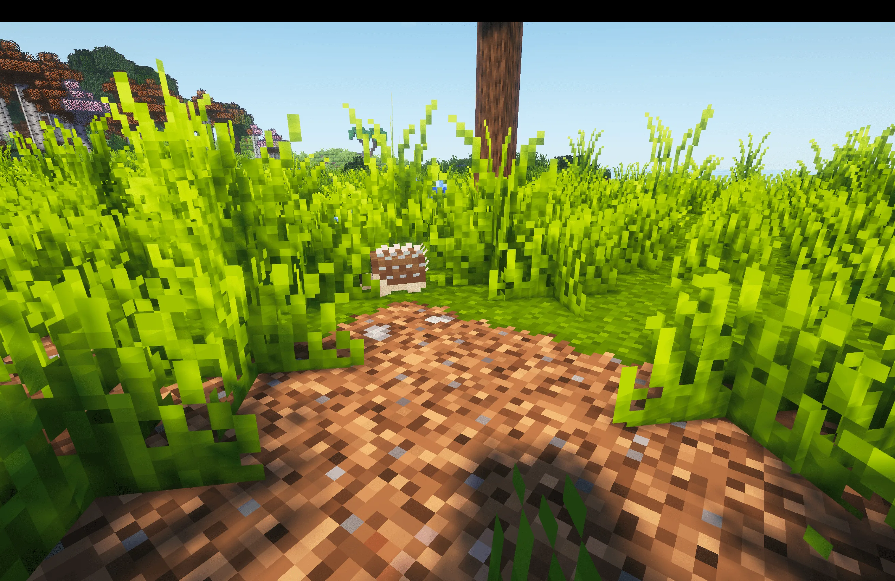 Ёжик из мода [Let's Do] WilderNature.