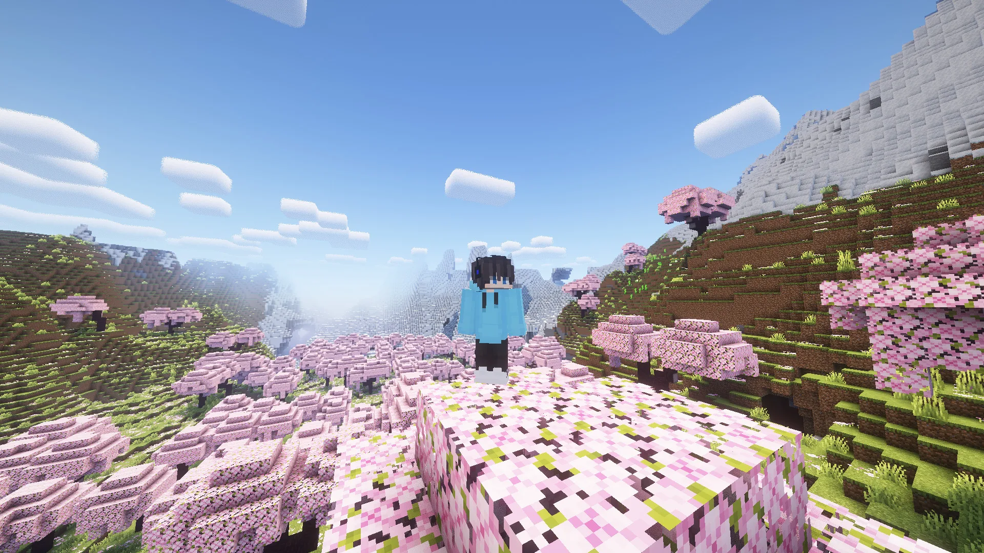 Улучшенный вид от третьего лица в Baked Blocks