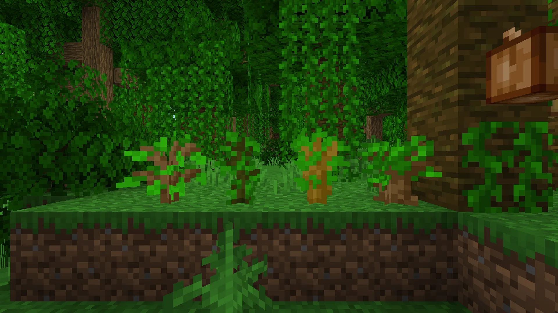 Саженцы деревьев в биоме джунглей с измененным оттенком листвы