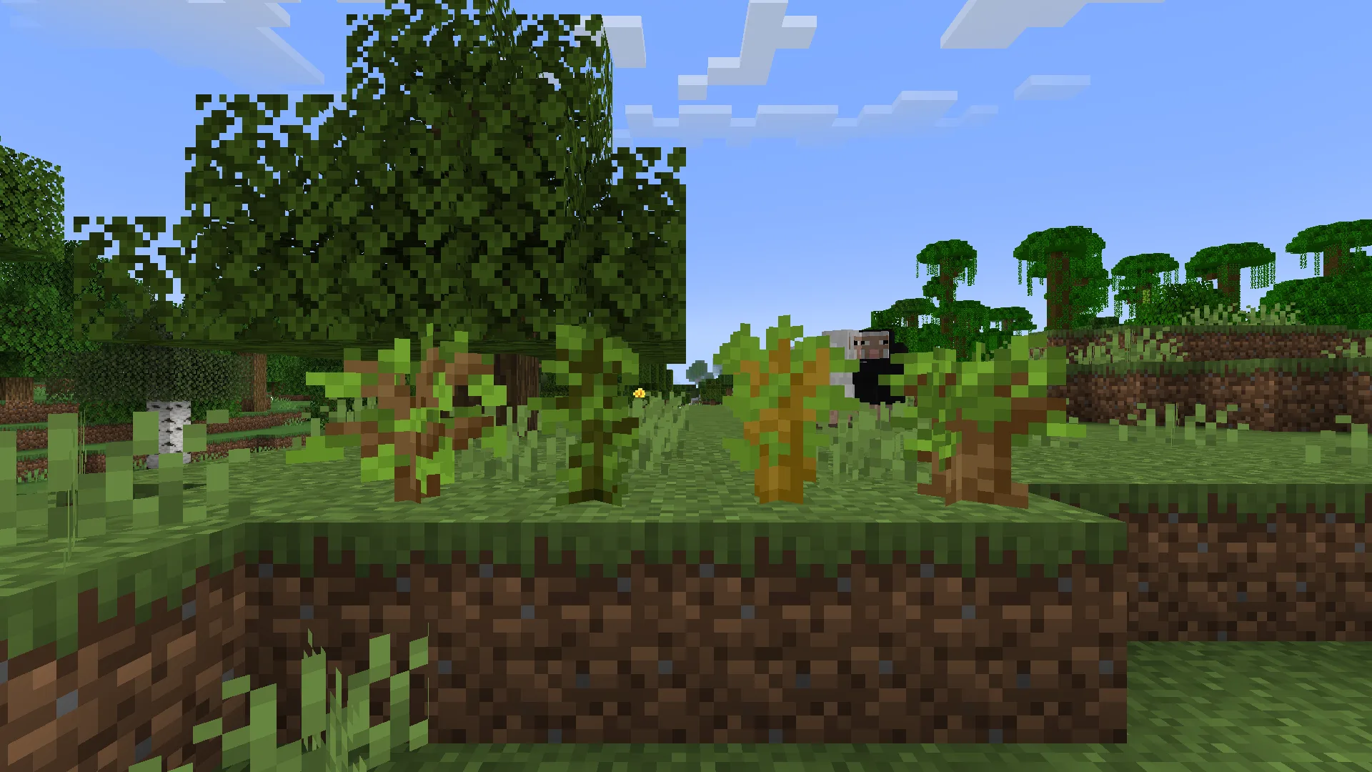 Саженцы деревьев на равнине с измененным оттенком листвы