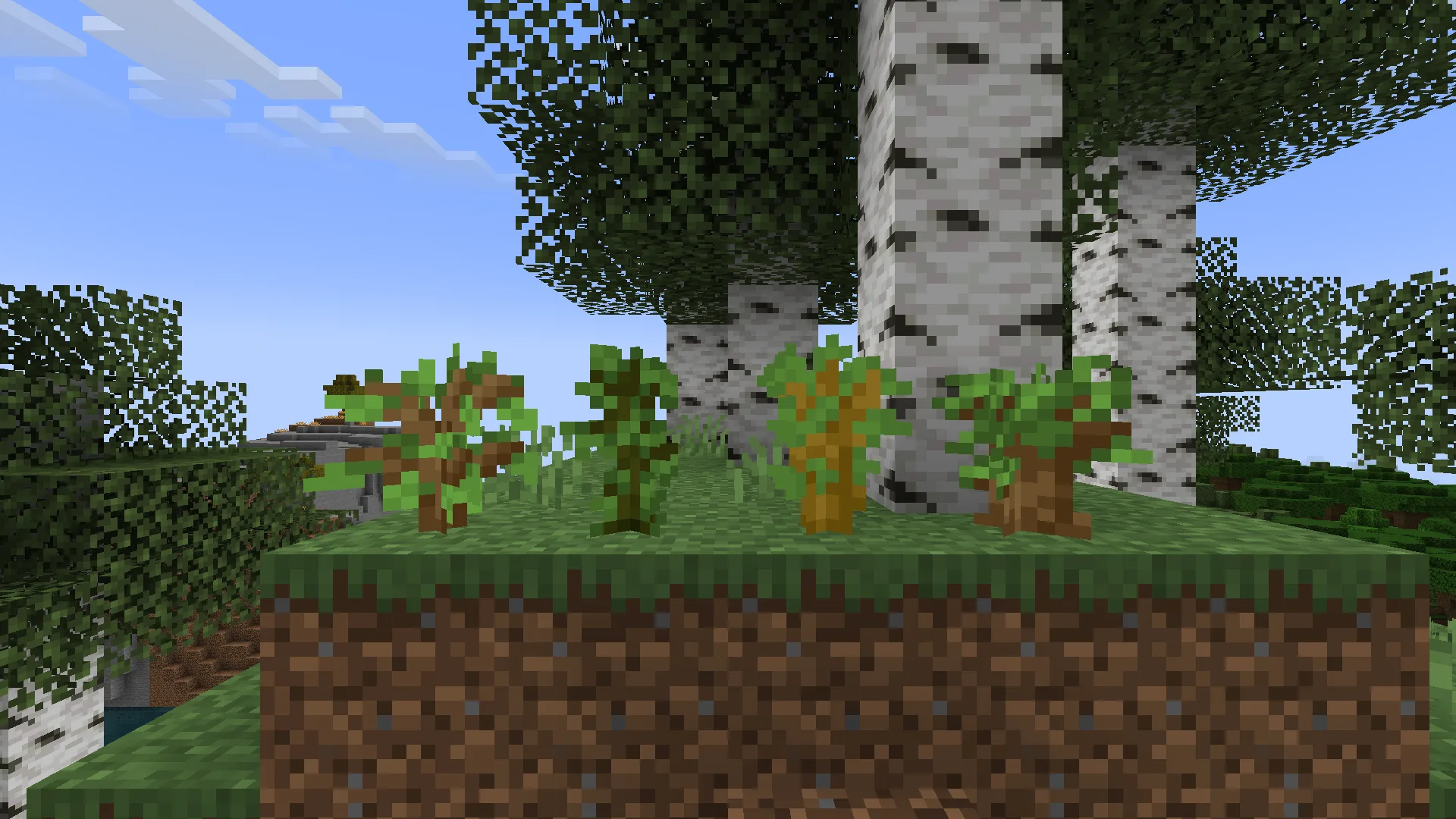 Саженцы деревьев в березовом лесу с измененным оттенком листвы