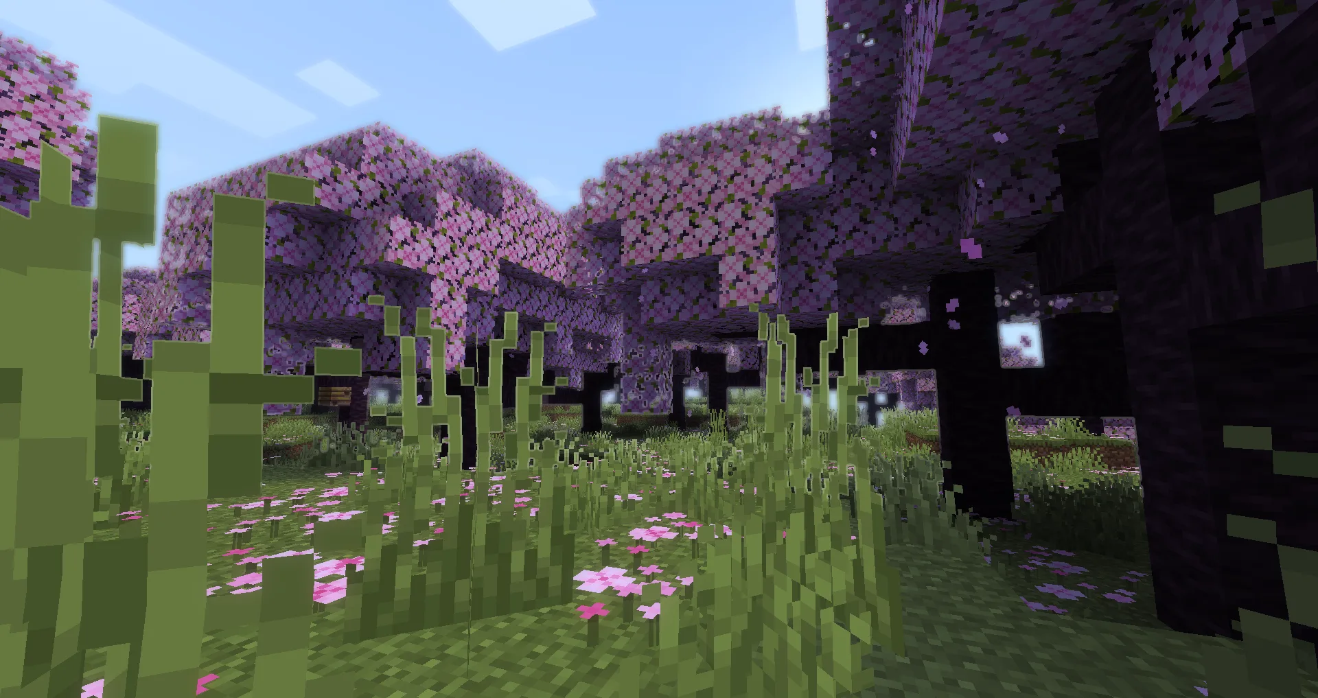 Shaderific (Vanilla Shader) Sakura Grove