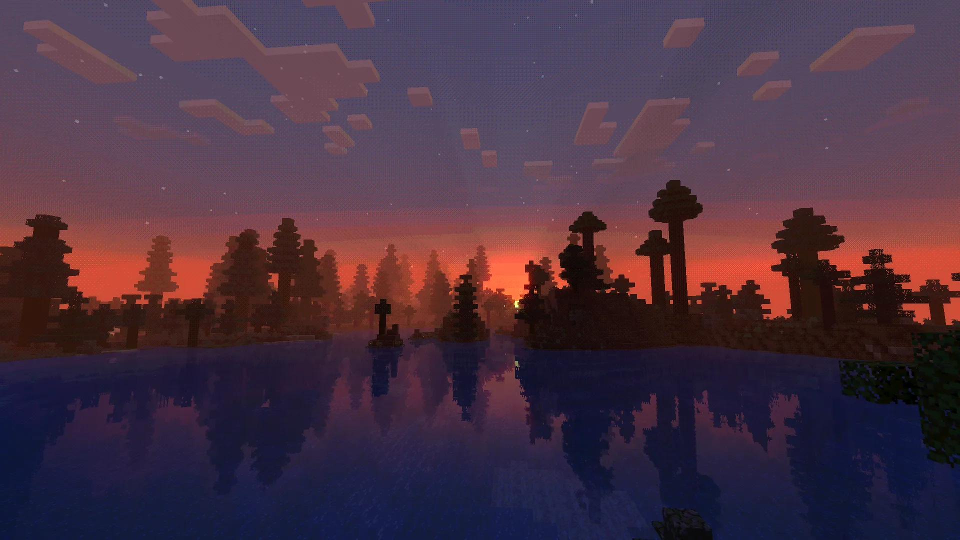 Гриб Ямашита Шимедзи на закате.