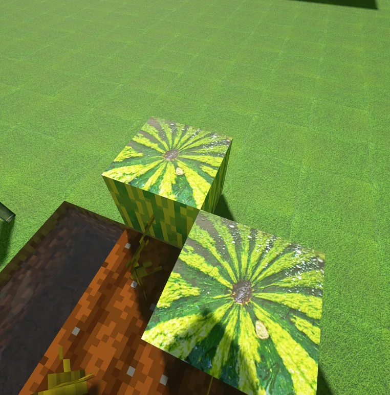 Вид на арбуз из ресурс-пака DzighLite.