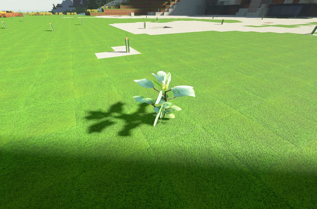 Саженец акации в ресурс-паке Dzigh Premium.