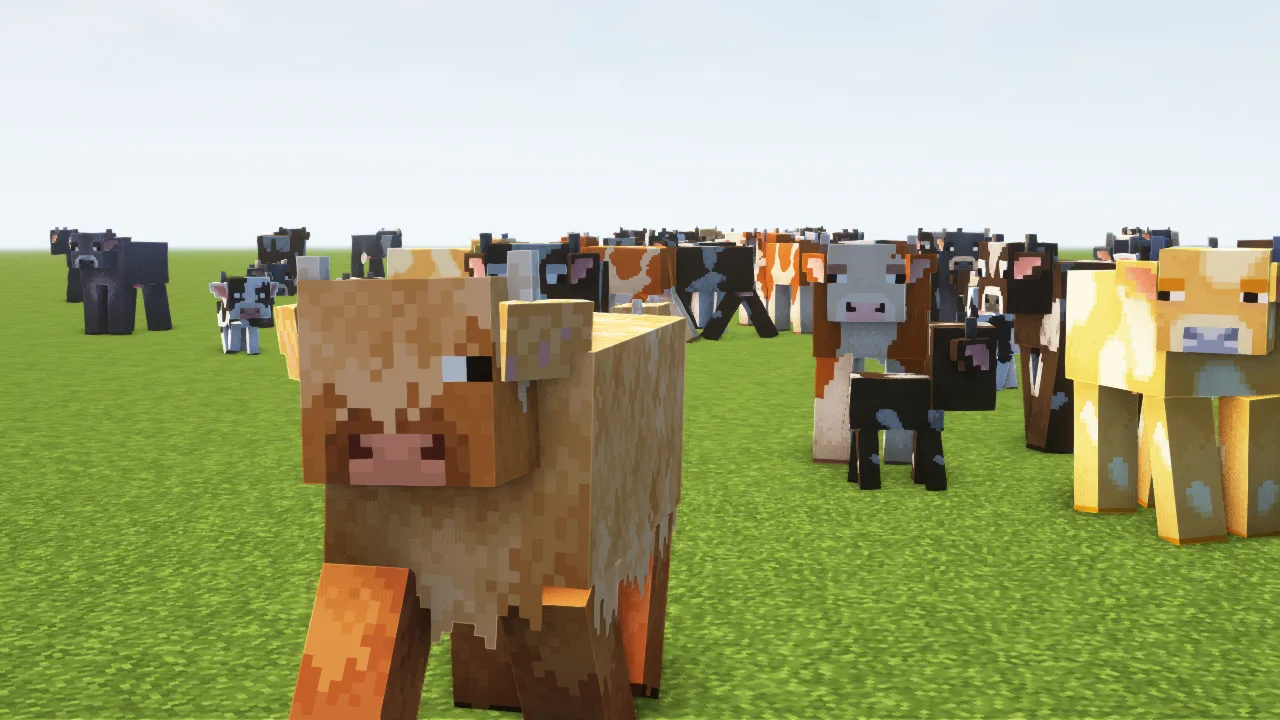 Cows!