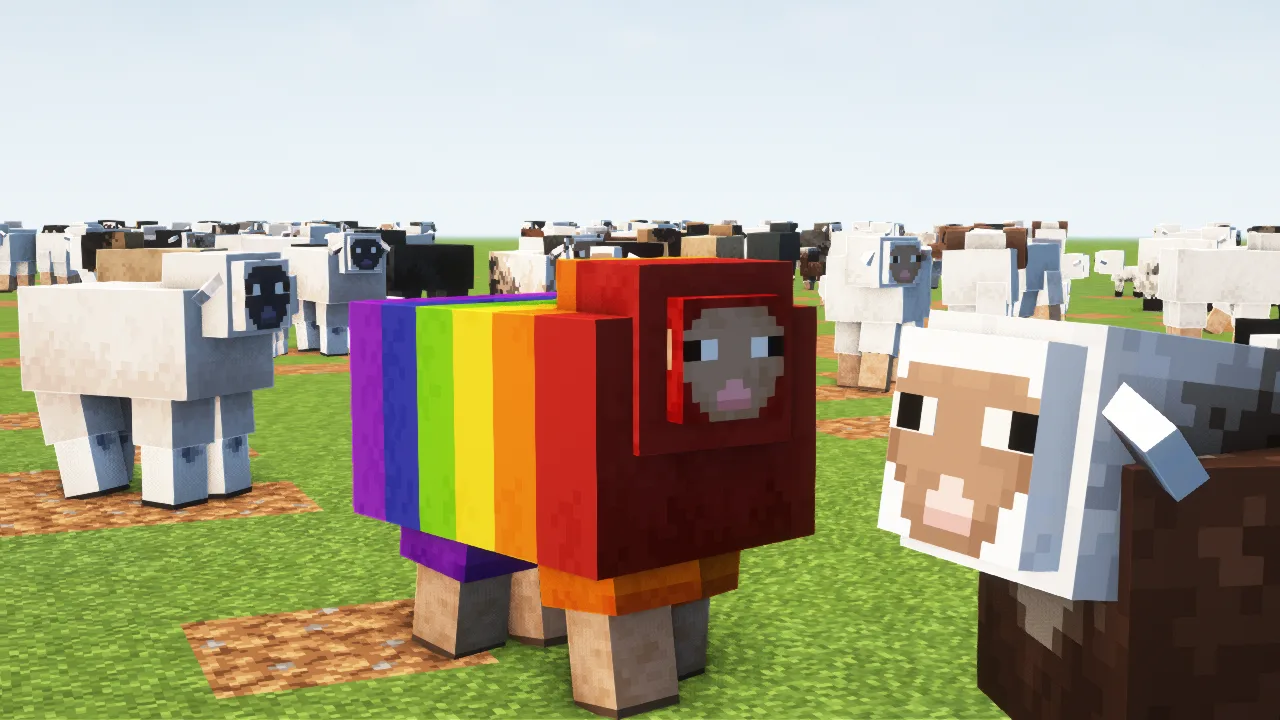 Rainbow Sheep!