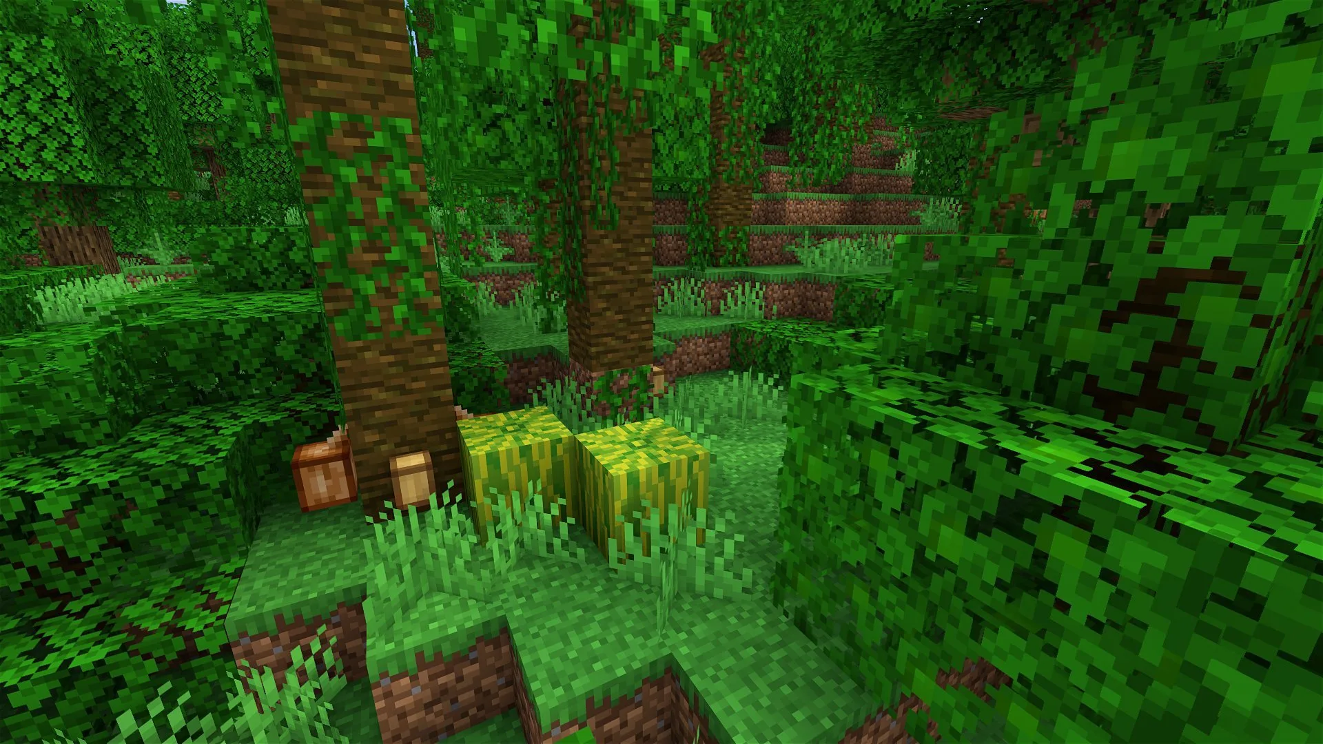Джунгли в стиле ванильного Майнкрафта.