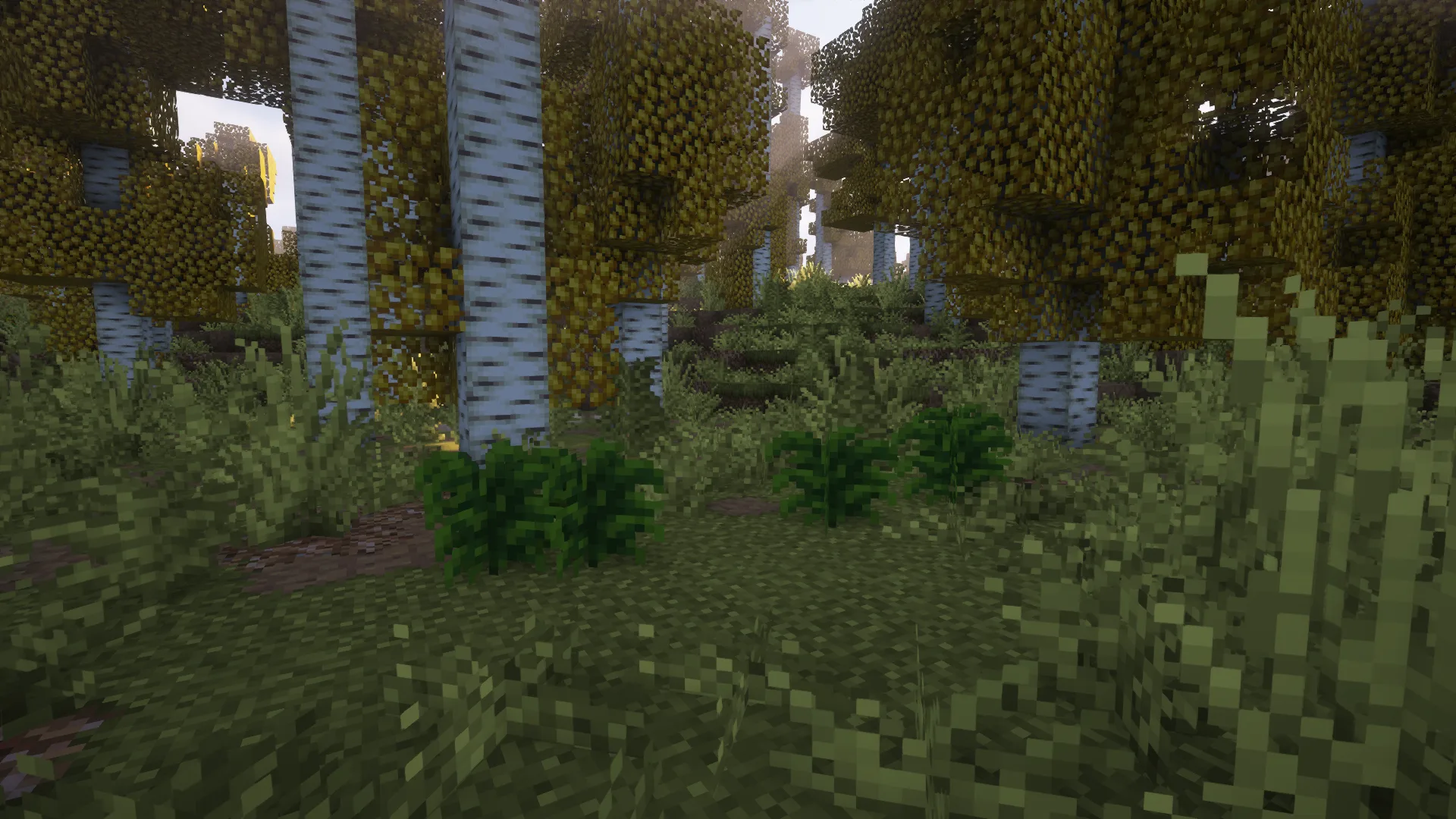 Кусты чайных растений из мода [Let's Do] HerbalBrews.