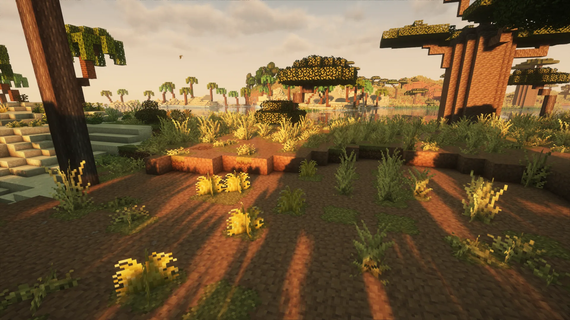 Растение дикого чая ройбуш из мода [Let's Do] HerbalBrews.