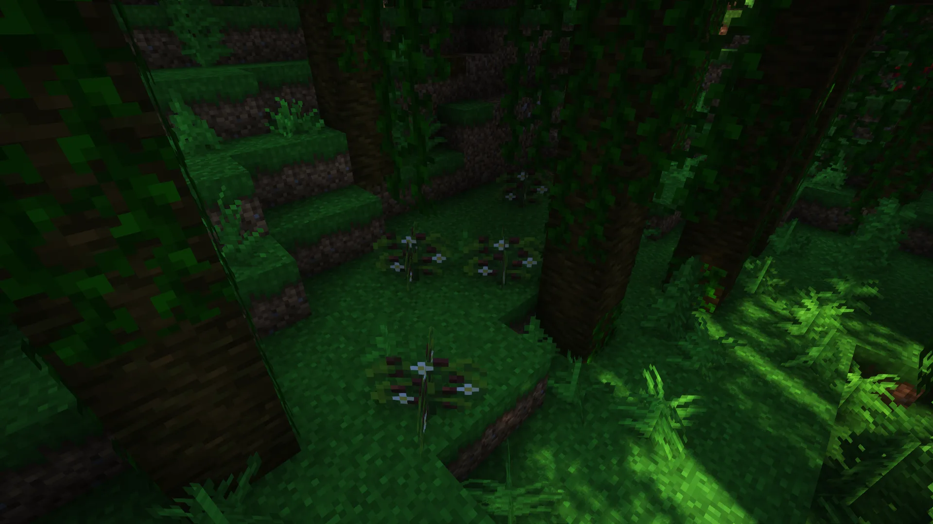 Дикие кофейные растения из мода Let's Do: HerbalBrews.