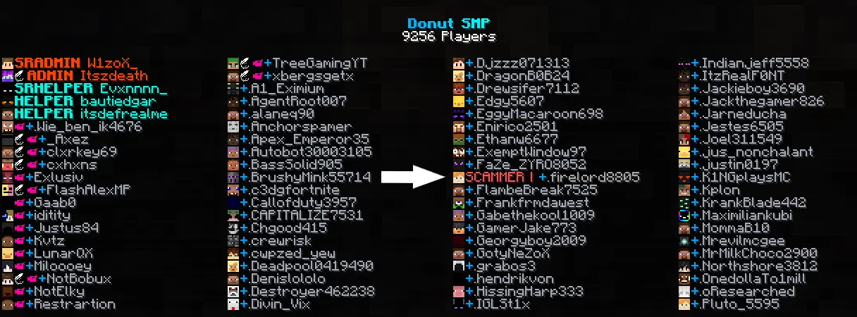 Отображение роли в списке игроков мода Scam Reports на сервере DonutSMP