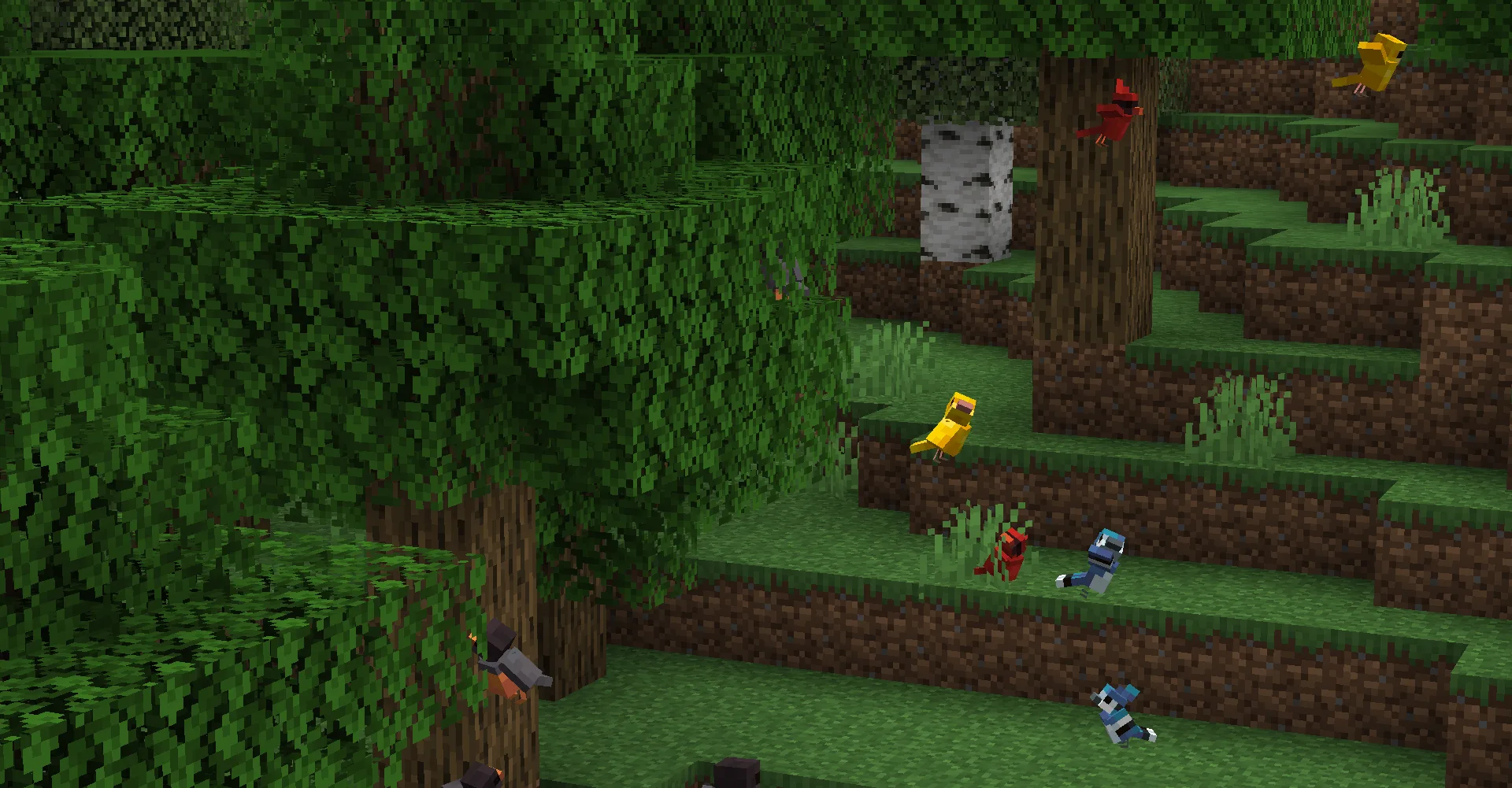 Разнообразные птицы в лесу, сидящие на земле и летящие в воздухе.