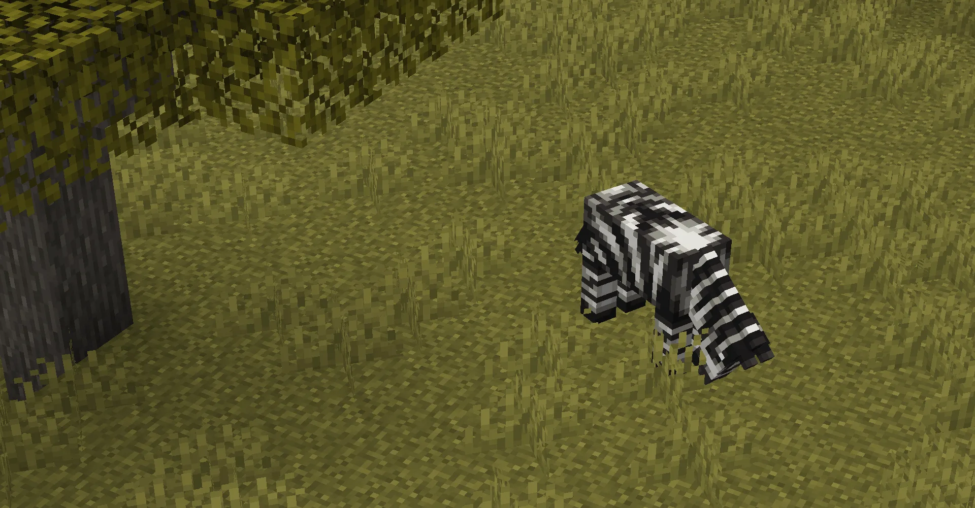 Зебра, пасущаяся на траве, из мода Naturalist.