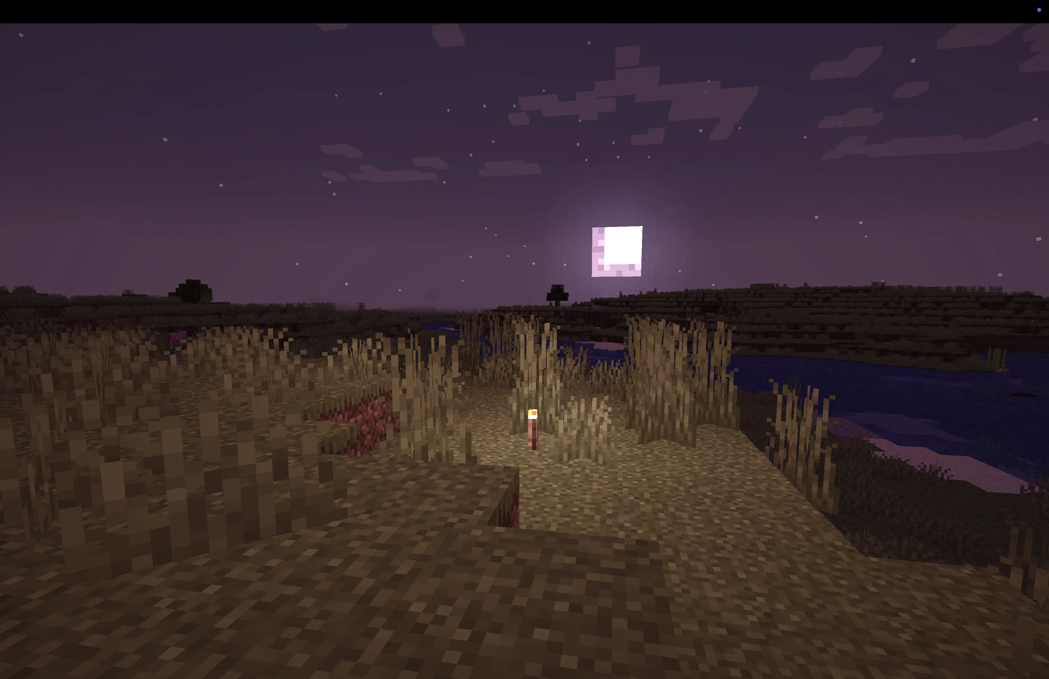 Ночное освещение в Rose World Shader