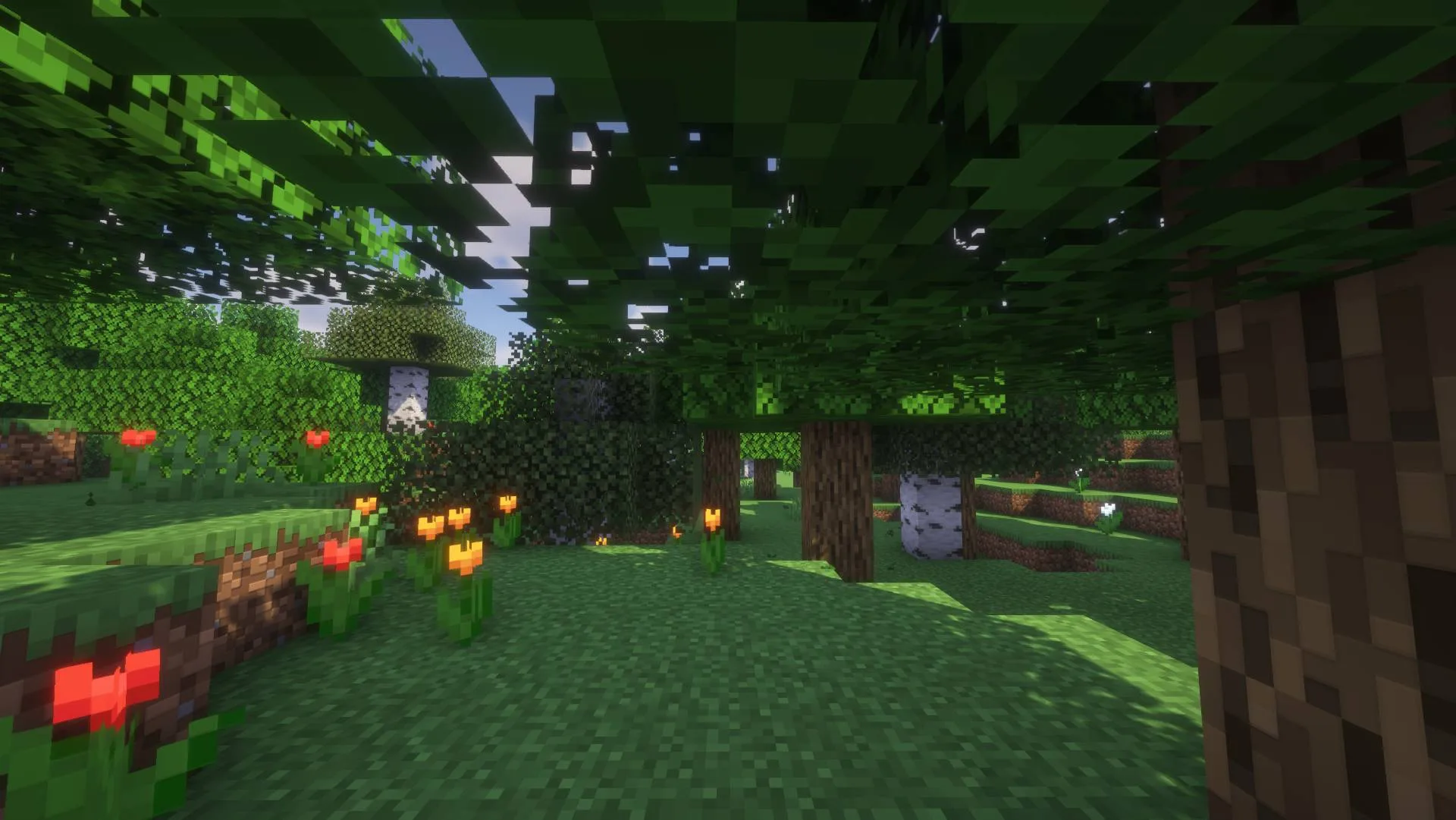 Лес с шейдерами Zayko.