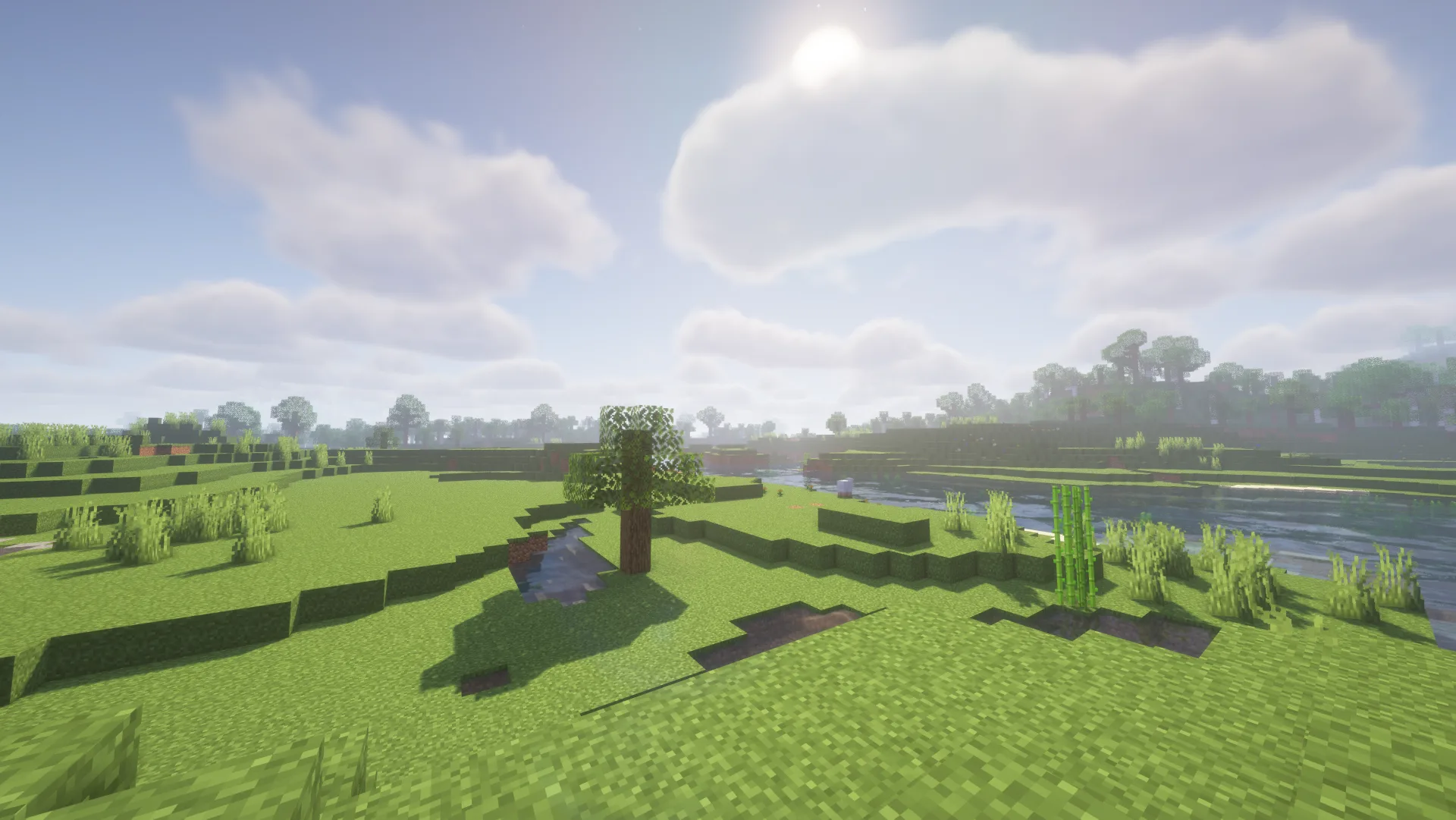 Zayko Shaders: случайный скриншот.