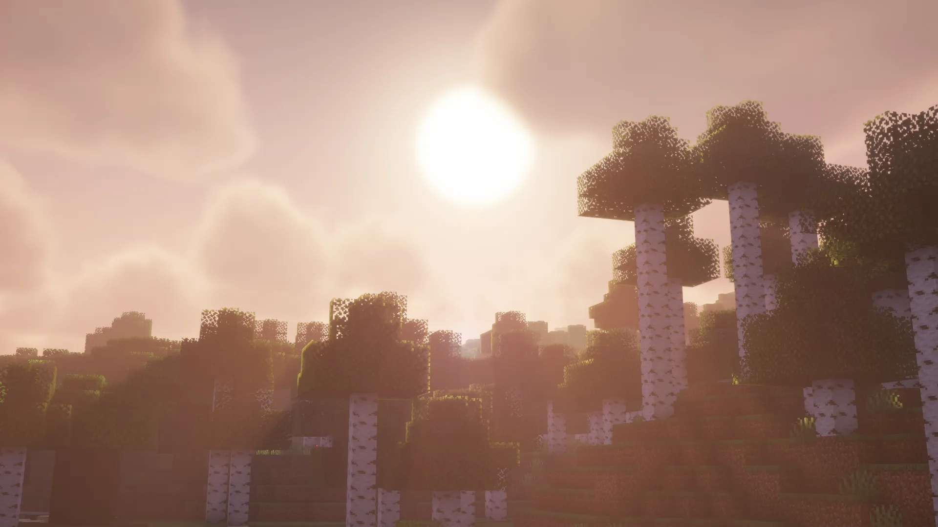 Zayko Shaders, лес в Minecraft.