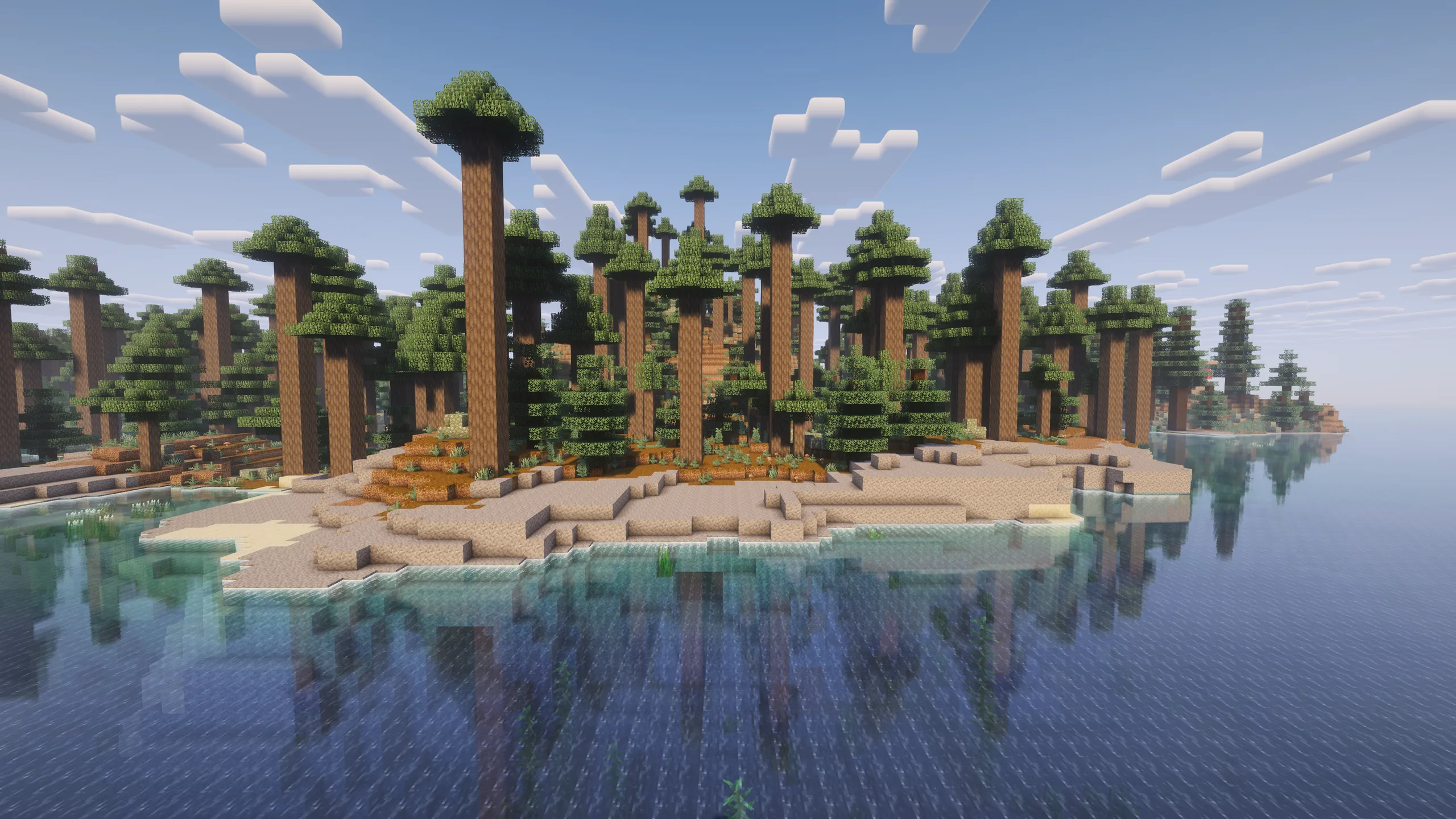 Побережье с гравием, граничащее с обновленной тайгой из старых елей в моде Bloom.