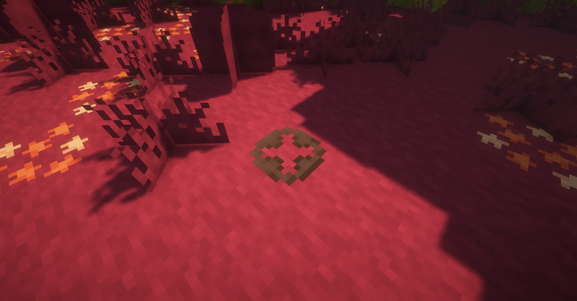 Бобы в различных локациях Minecraft