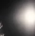 Dark Fear
