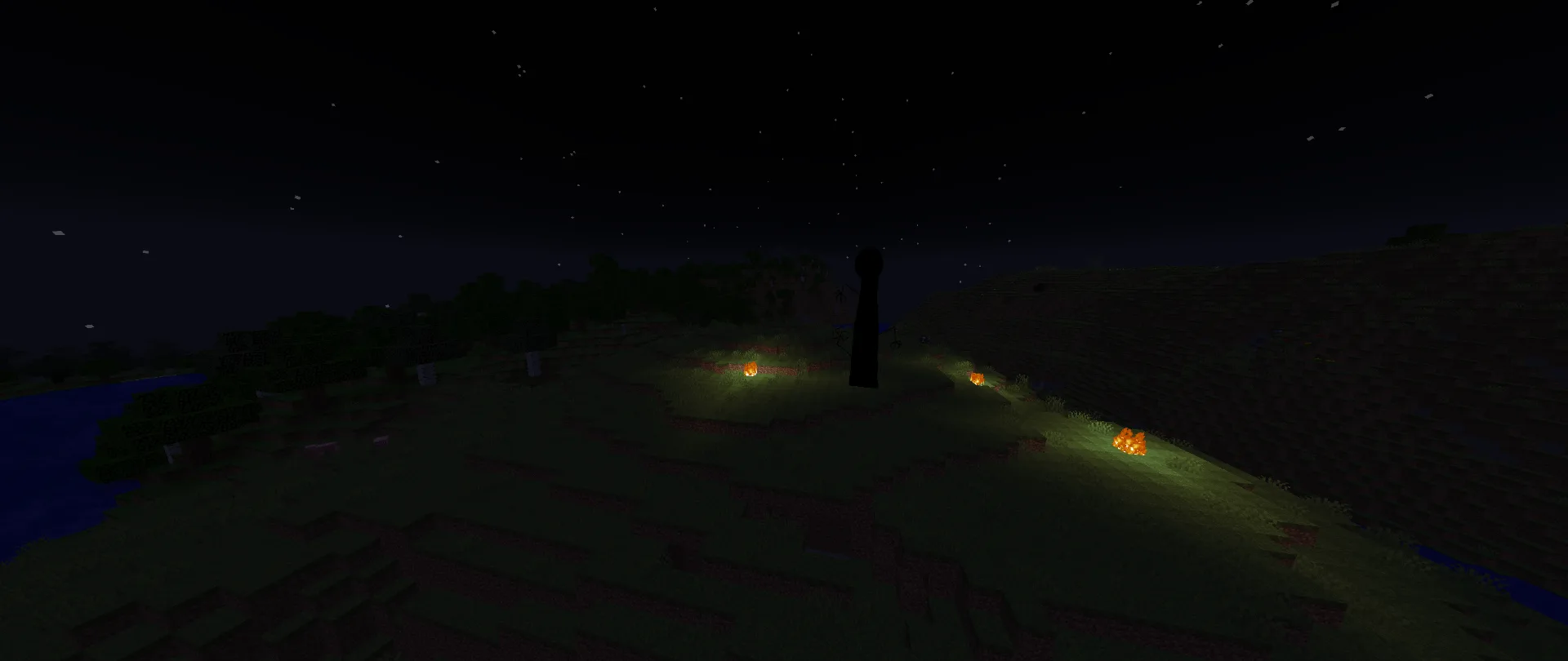 The Stalk