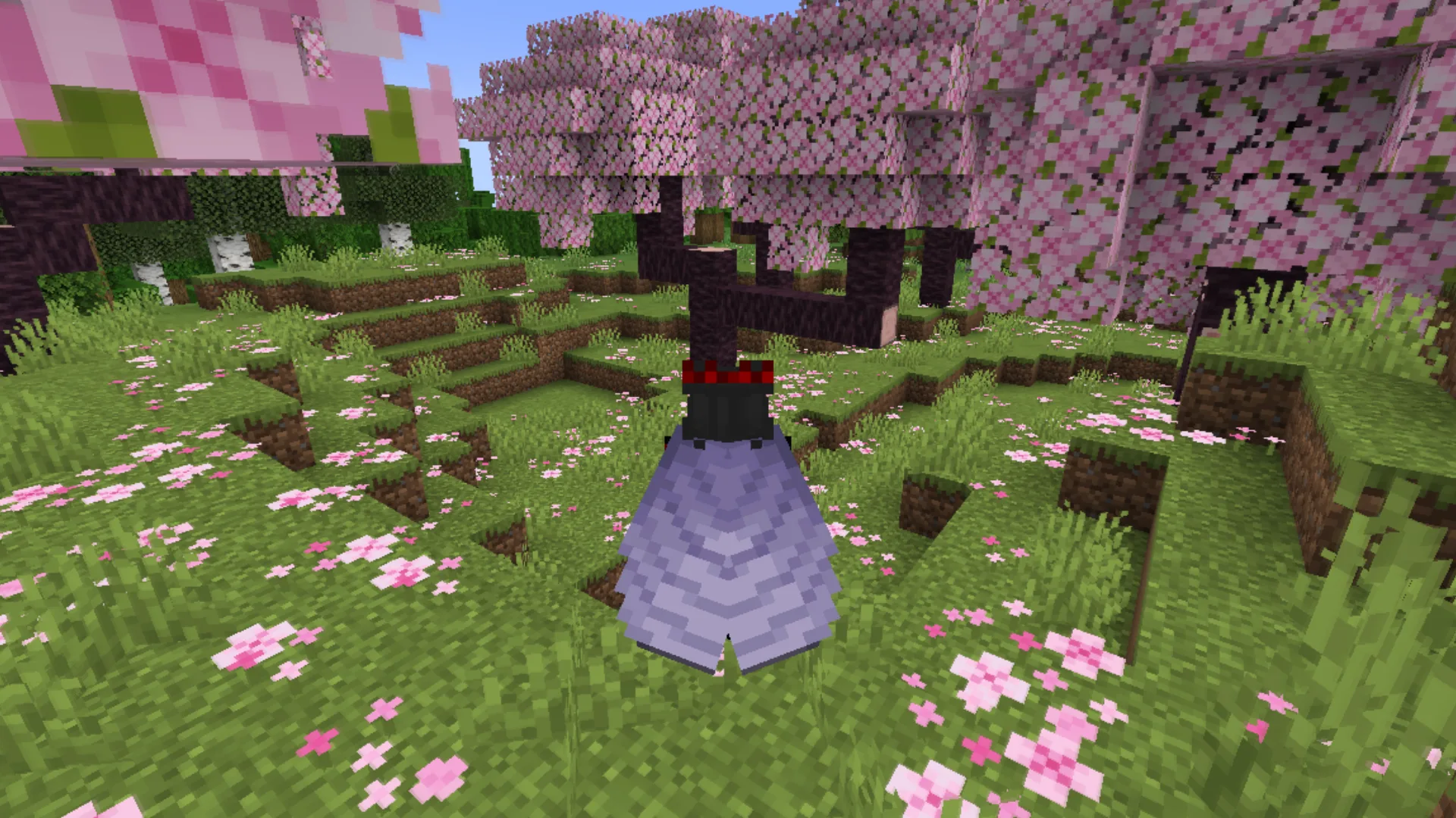 Текстура Better Elytra на персонаже