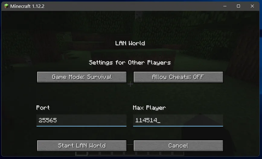 Настройки кастомного порта и максимального количества игроков в EasyLAN.