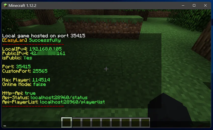 Окно с информацией о локальном сервере Minecraft в проекте EasyLAN.