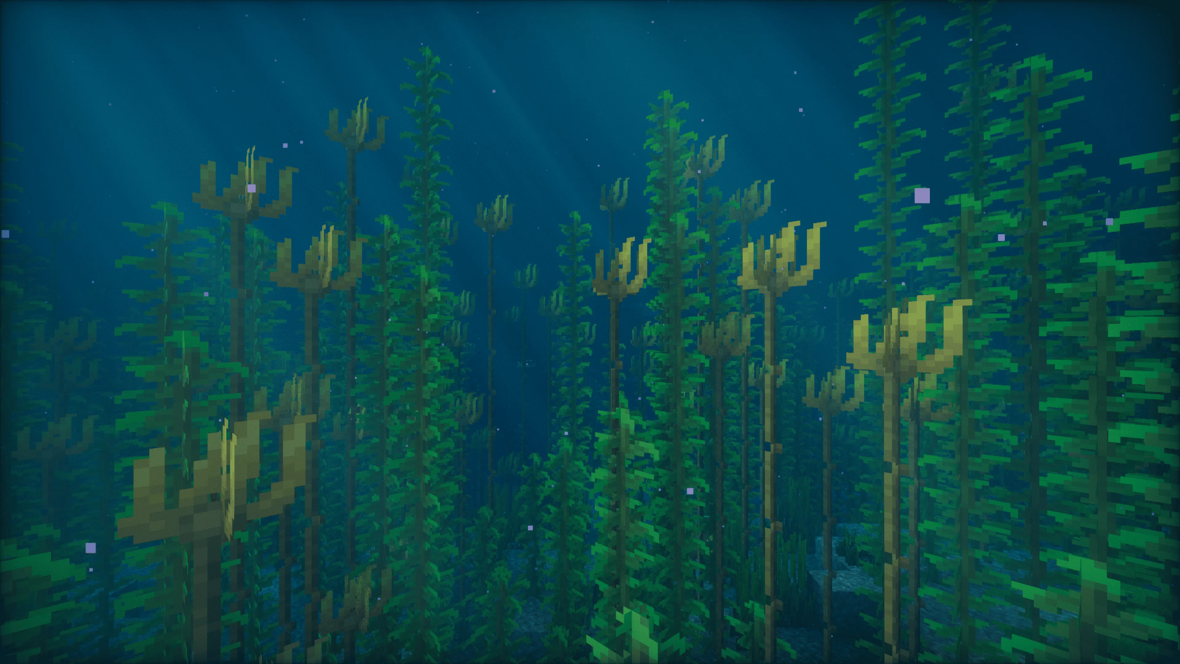 Подводный лес с ламинарией вида Bull Kelp в Minecraft.