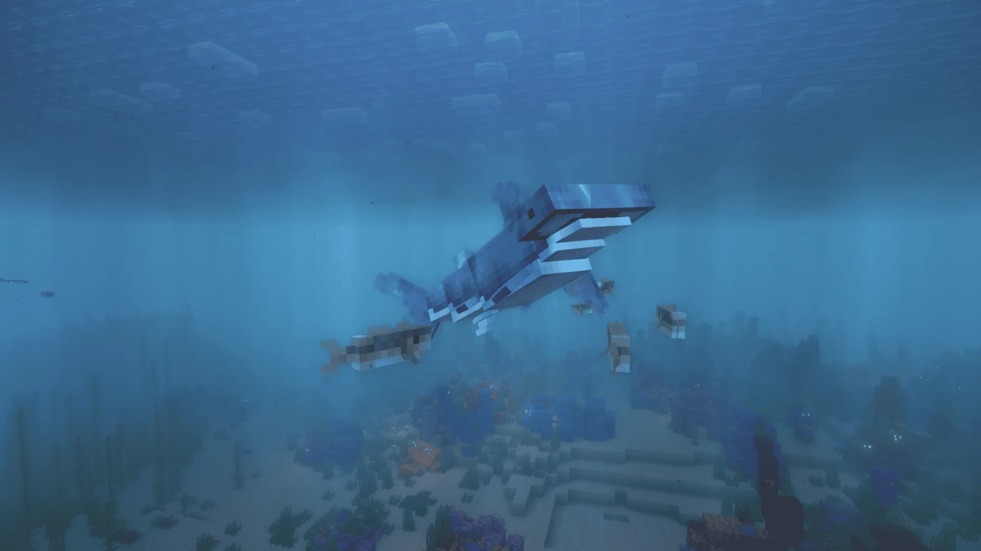 Акула-молот плывет в окружении стаи трески в проекте Hybrid Aquatic.