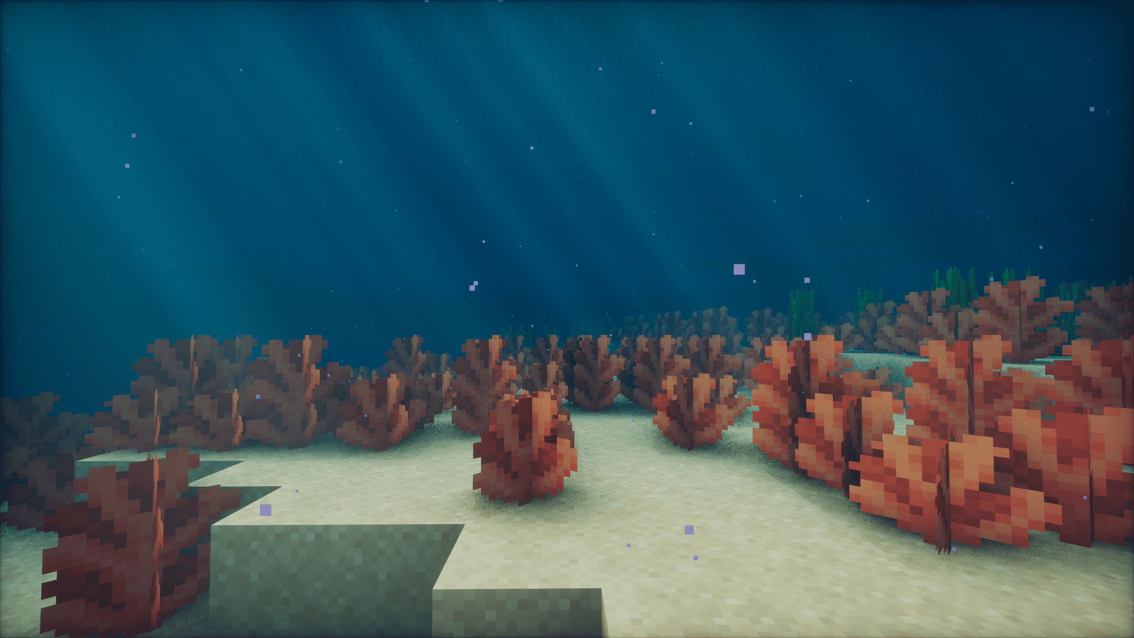 Подводный луг из красных водорослей в теплом океане.