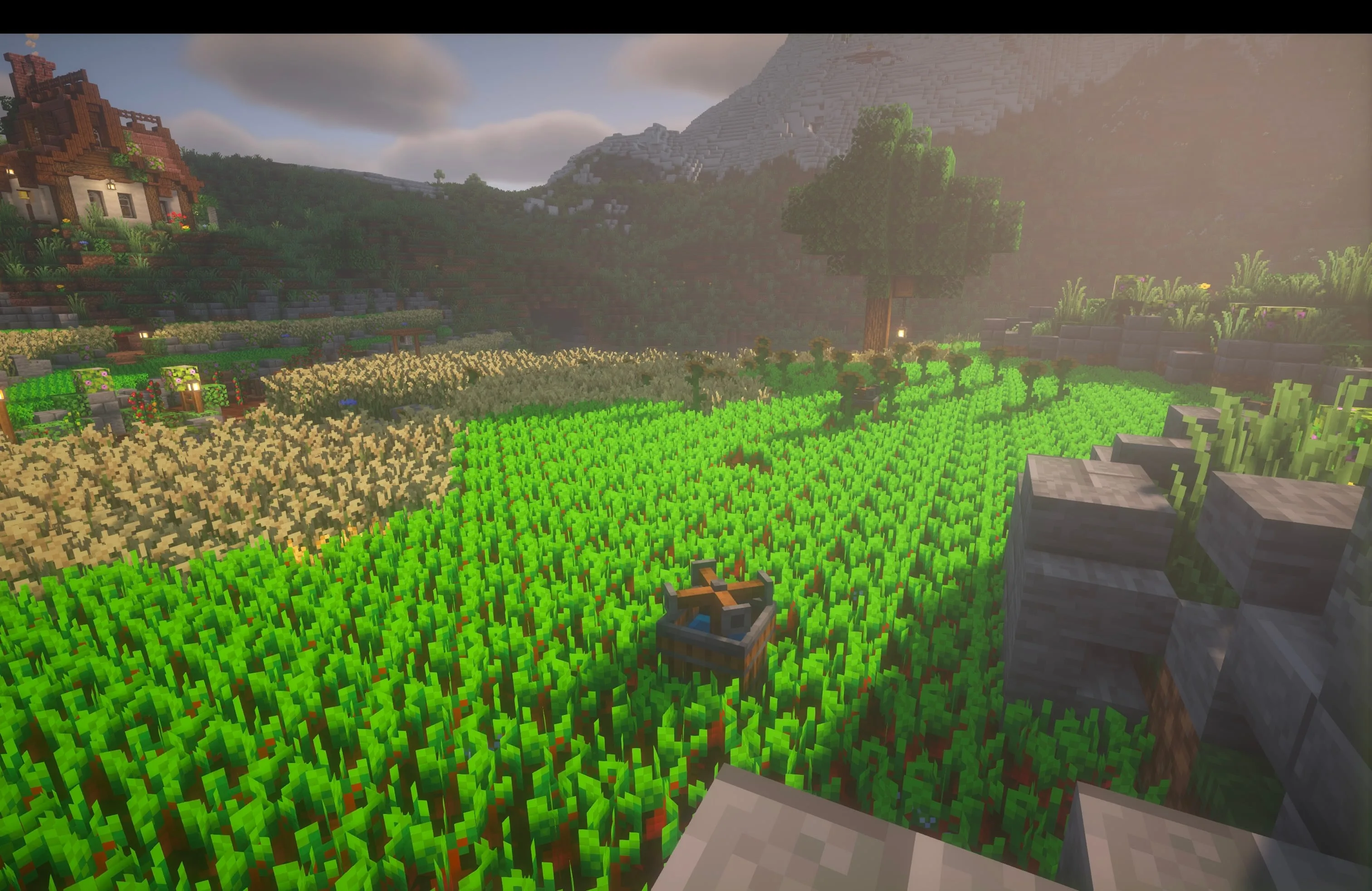 Разбрызгиватели воды в поле свеклы с овсом на заднем плане в моде [Let's Do] Farm & Charm.