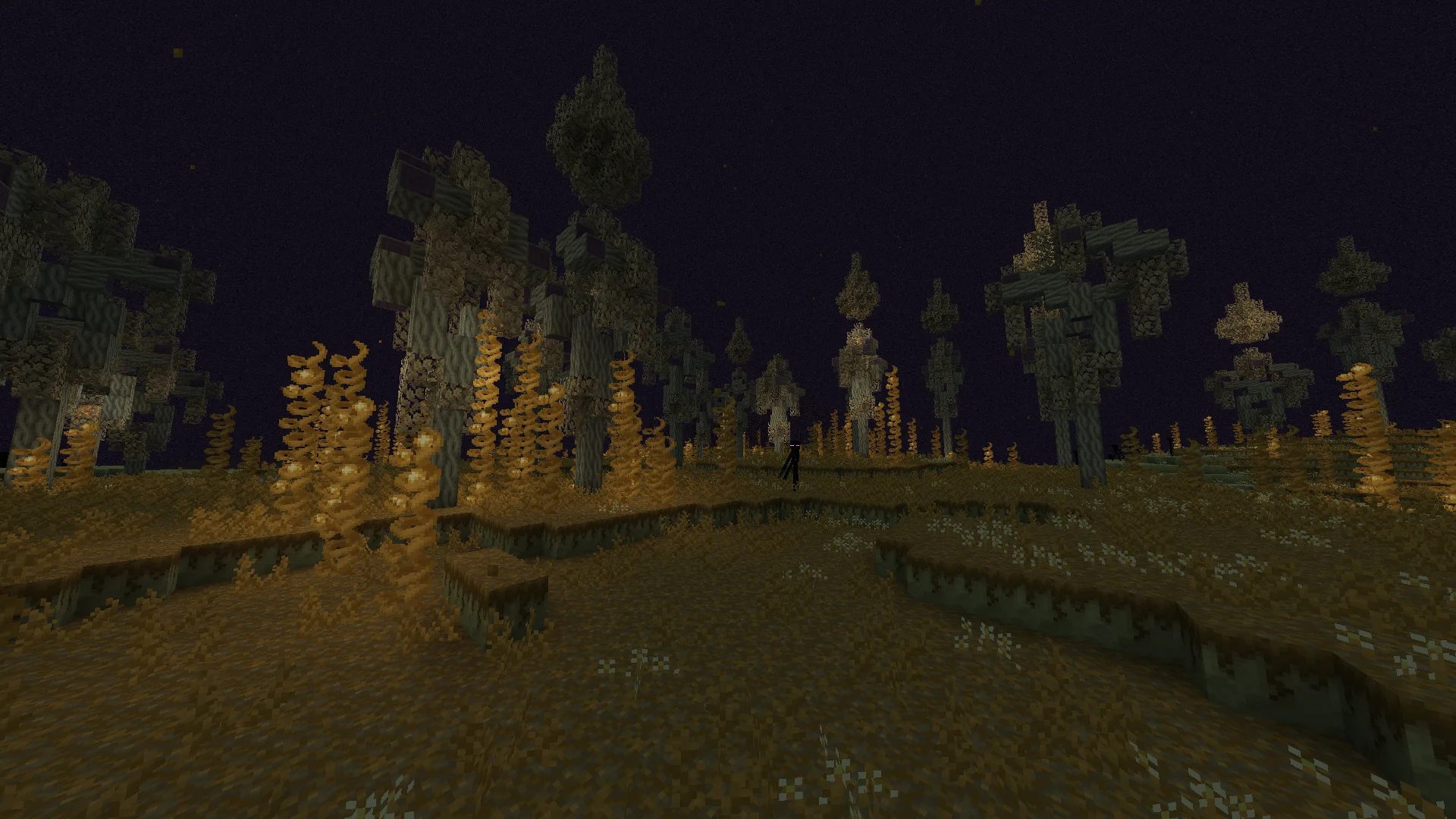 Биом End Wilds из мода Biomes O' Plenty.