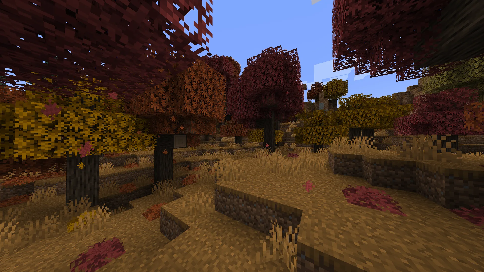 Лес с сезонными деревьями из мода Biomes O' Plenty.