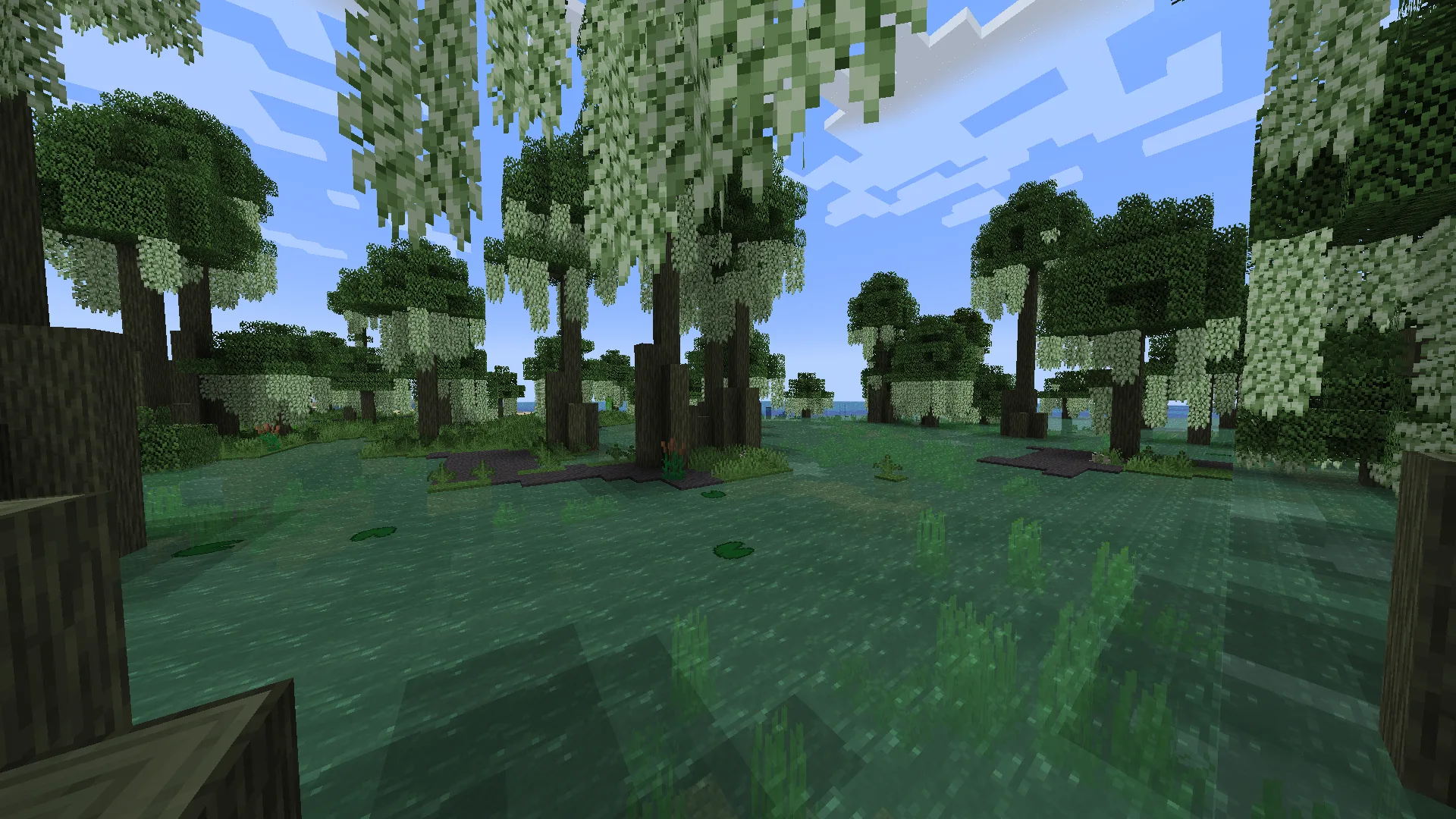 Биом болотистой местности с деревьями и водой из мода Biomes O' Plenty.