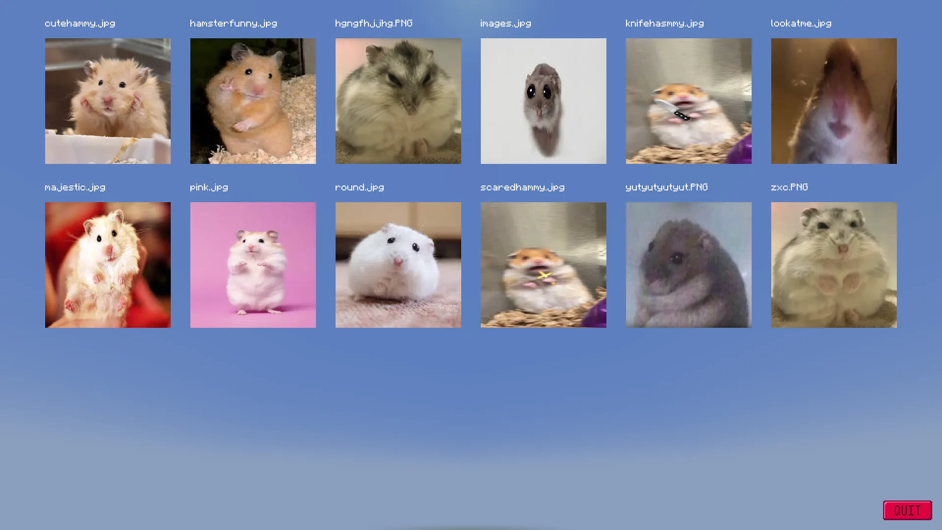 Экран галереи в моде Image Overlay