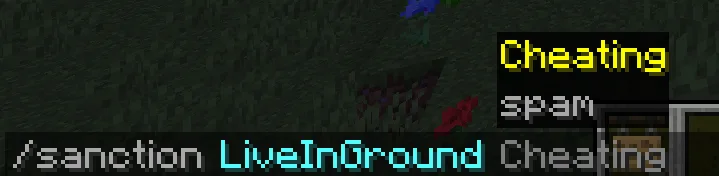 Интерфейс команды /sanction с настройками по умолчанию в моде AdminCraft
