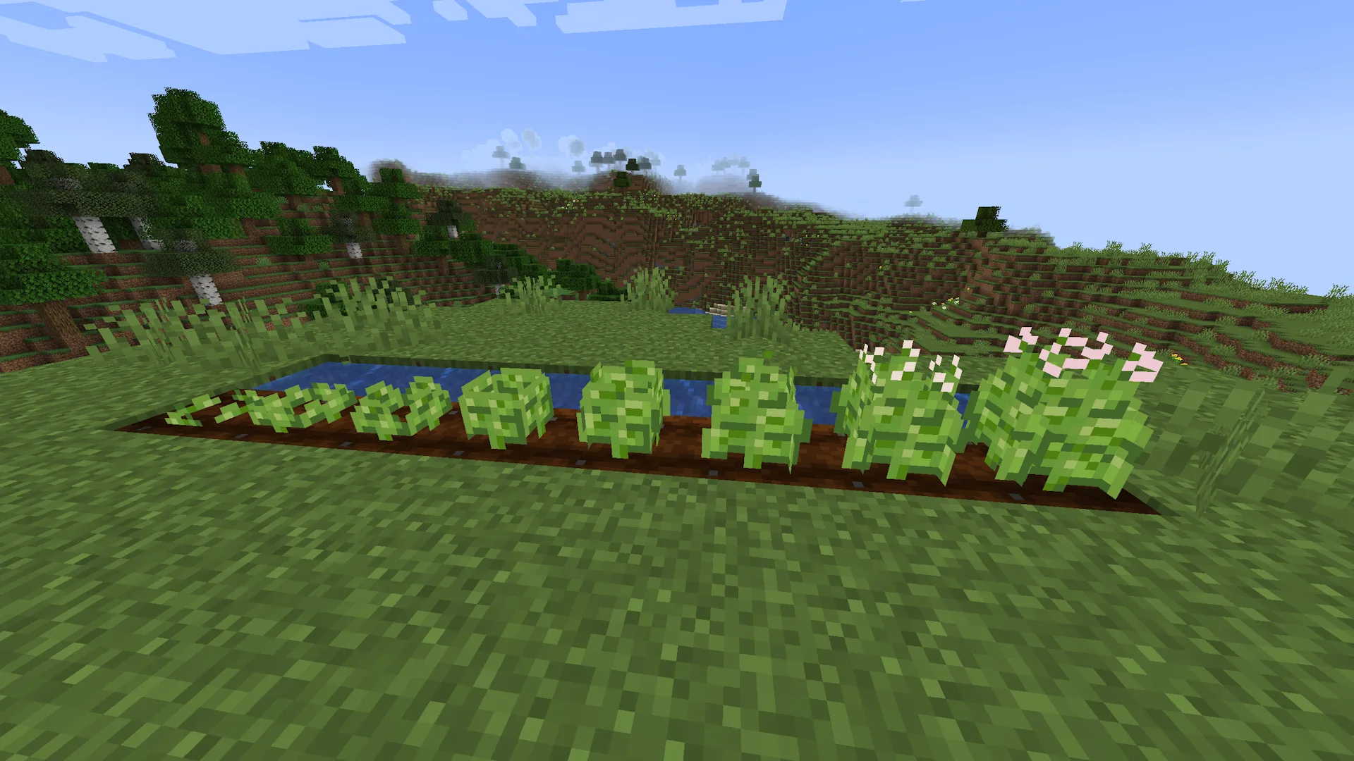 Сельскохозяйственные культуры в моде The Dirty Stuff