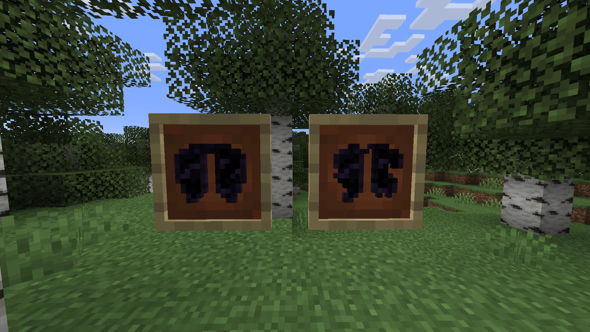 Предмет обсидиановые элитры в инвентаре