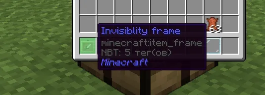 Невидимая рамка из мода SimpleCraft