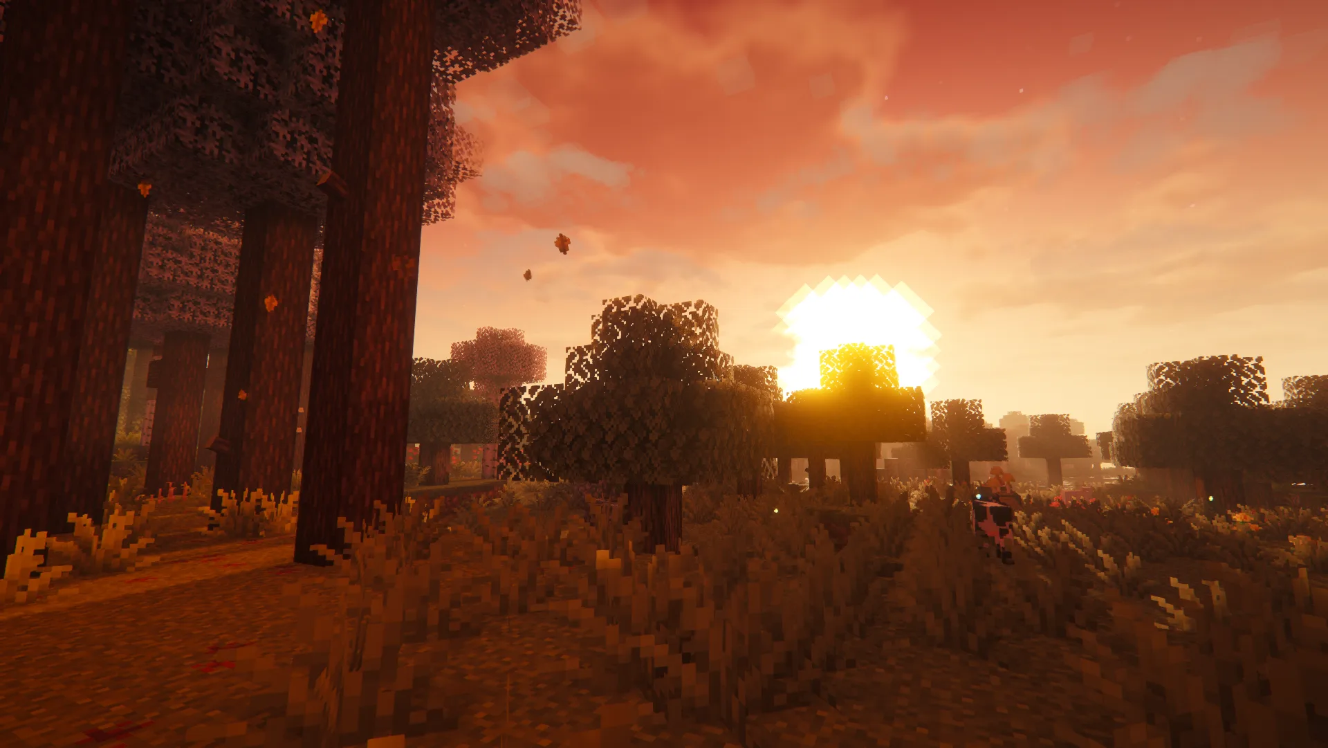 Круглое солнце с шейдерами Complementary Reimagined