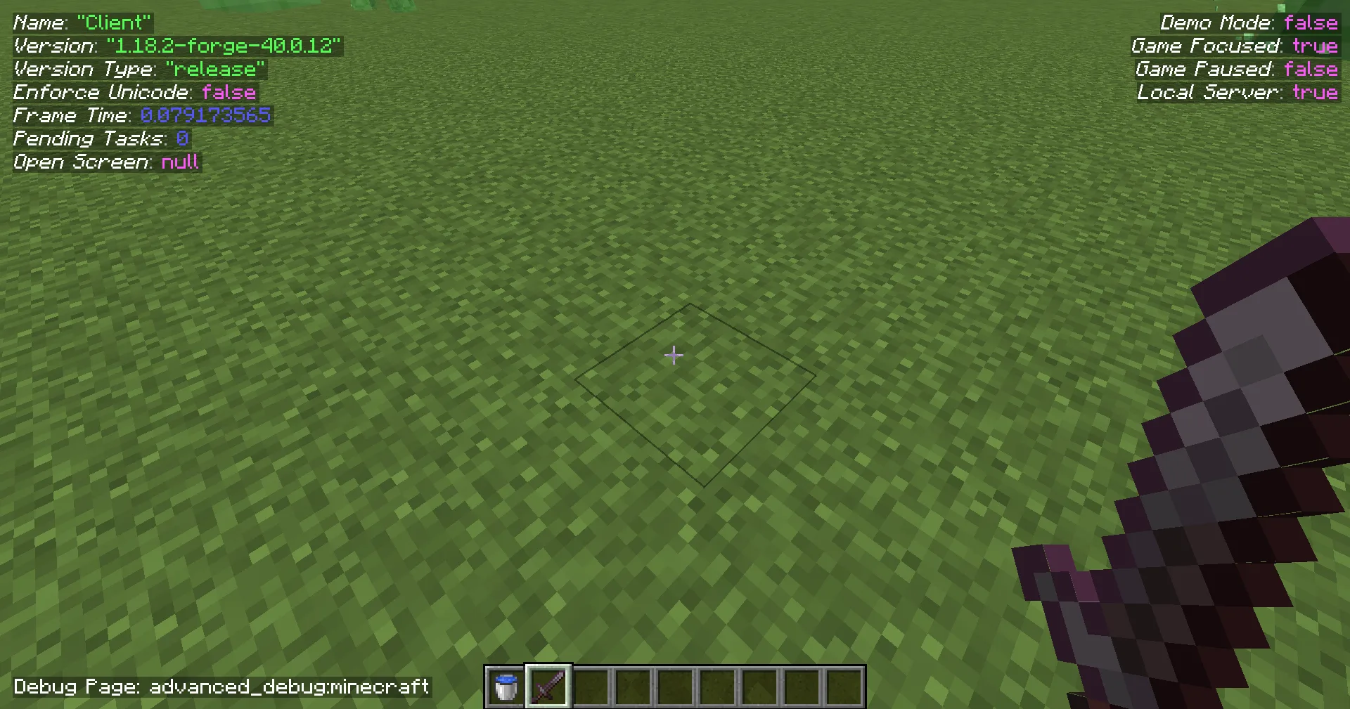 Advanced Debug: страница Minecraft