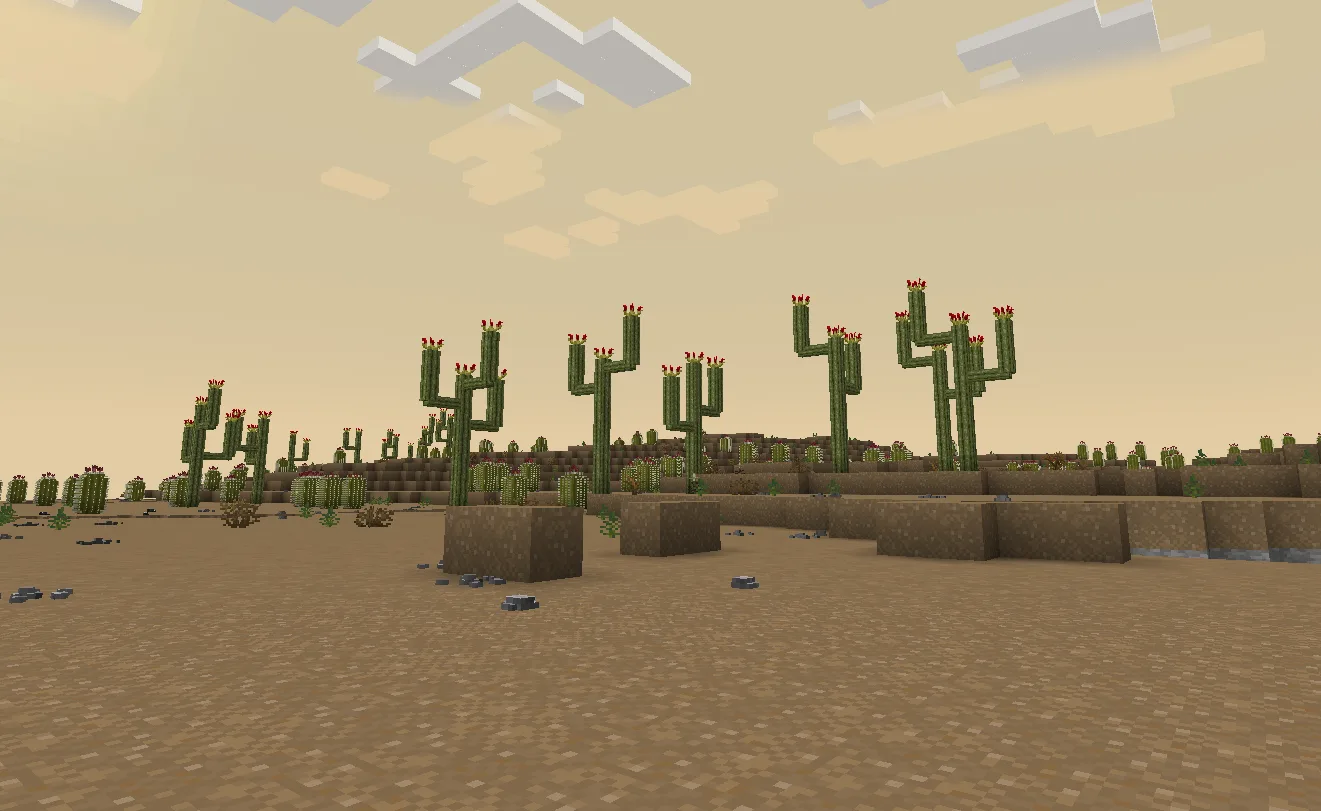 Пустынный биом с кактусами и редкими растениями в моде TerraFirmaCraft.